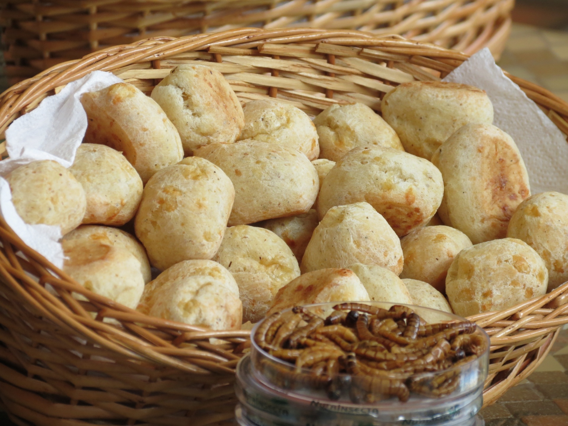 Larvas moídas do besouro tenébrio gigante são adicionadas à receita do pão-de-queijo pela Nutrinsecta; os insetos aumentam o teor de proteínas do alimento, que é oferecido no Parque Ecológico Vale Verde, em Betim (MG) como teste. Hoje, a empresa volta sua produção quase que inteiramente para aves, mas quer criar uma linha para humanos - Divulgação/Nutrinsecta