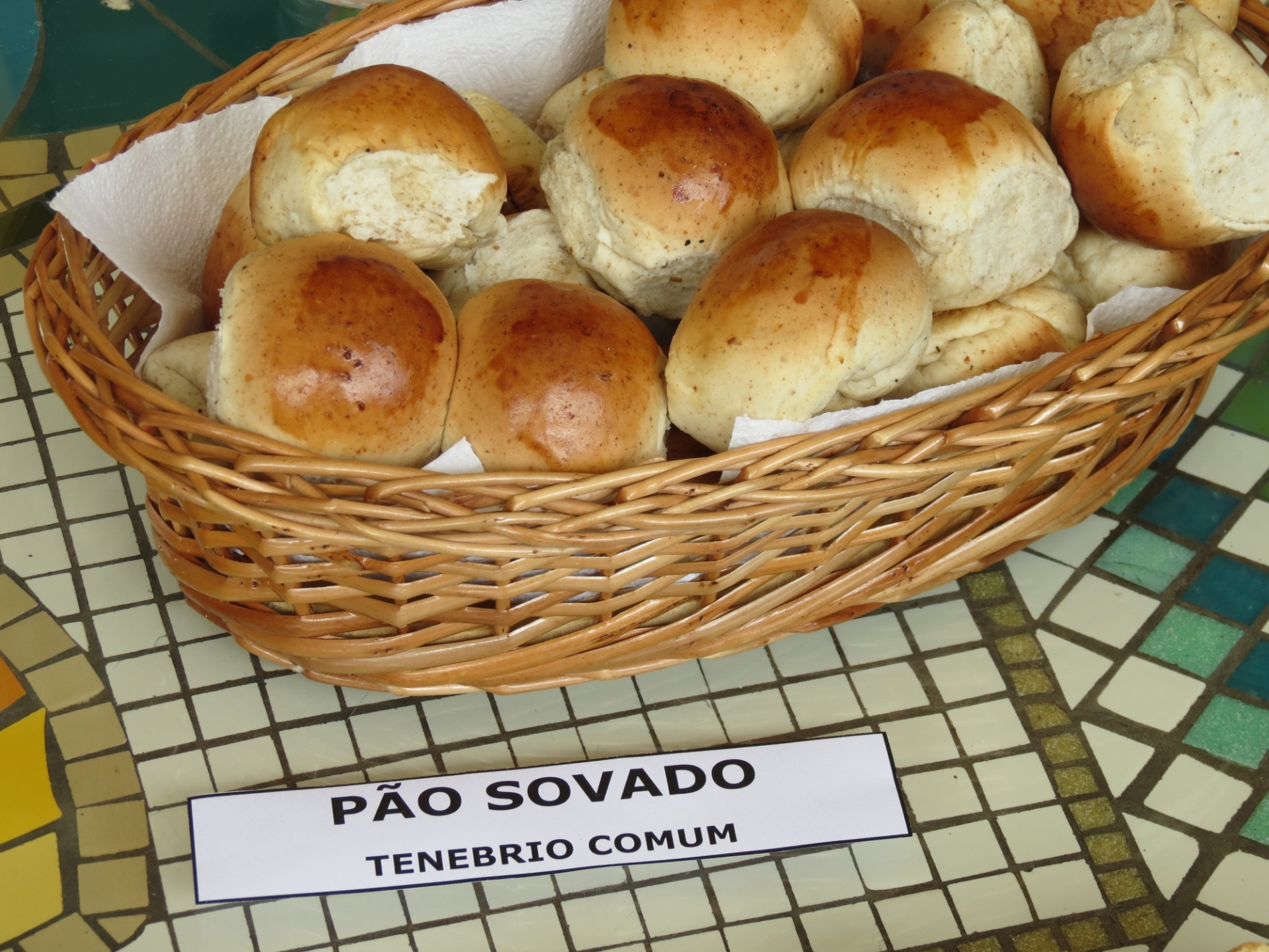Larvas moídas do besouro tenébrio comum são adicionadas à receita do pão sovado pela Nutrinsecta; os insetos aumentam o teor de proteínas do alimento, que é oferecido no Parque Ecológico Vale Verde, em Betim (MG) como teste pela empresa; hoje, ela volta sua produção de insetos quase que inteiramente para aves, mas quer criar uma linha para humanos - Divulgação/Nutrinsecta