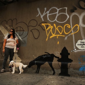 3.out.2013 - Mulher posa com seu cachorro ao lado de um grafite atribuído ao artista britânico Banksy, nesta quinta-feira (3), em Nova York. A identidade do pintor - que anunciou uma temporada de três meses na cidade - é desconhecida - Spencer Platt/AFP