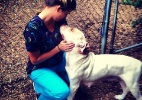 Campanha online "espontânea" salva pitbull com câncer de ser sacrificada - Reprodução/Facebook