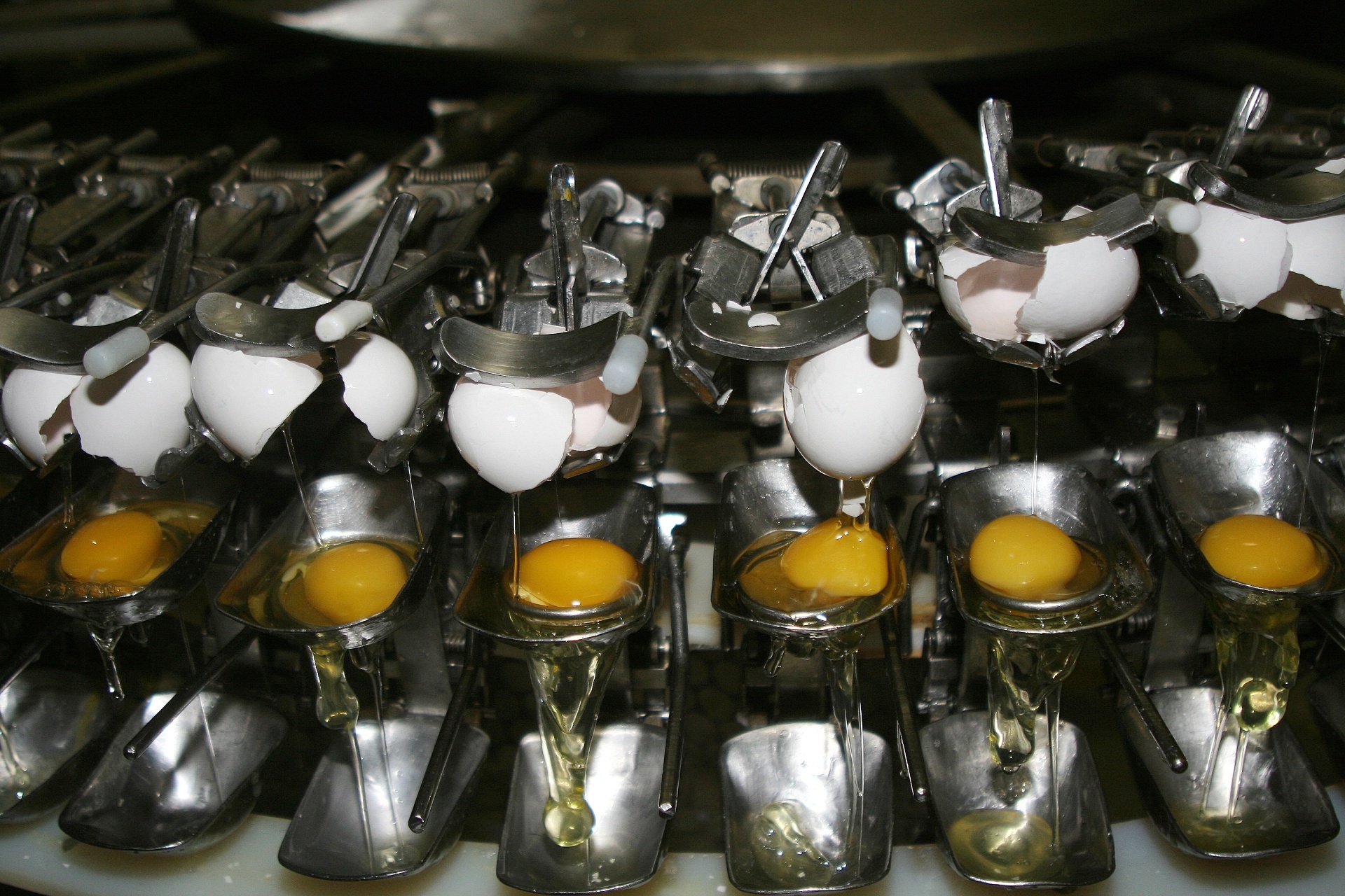 Depois, os ovos são quebrados e separados por uma máquina (foto). Assim, é possível obter embalagens só com as gemas ou só com as claras, além, claro, do ovo inteiro - Divulgação/Sina Cheff