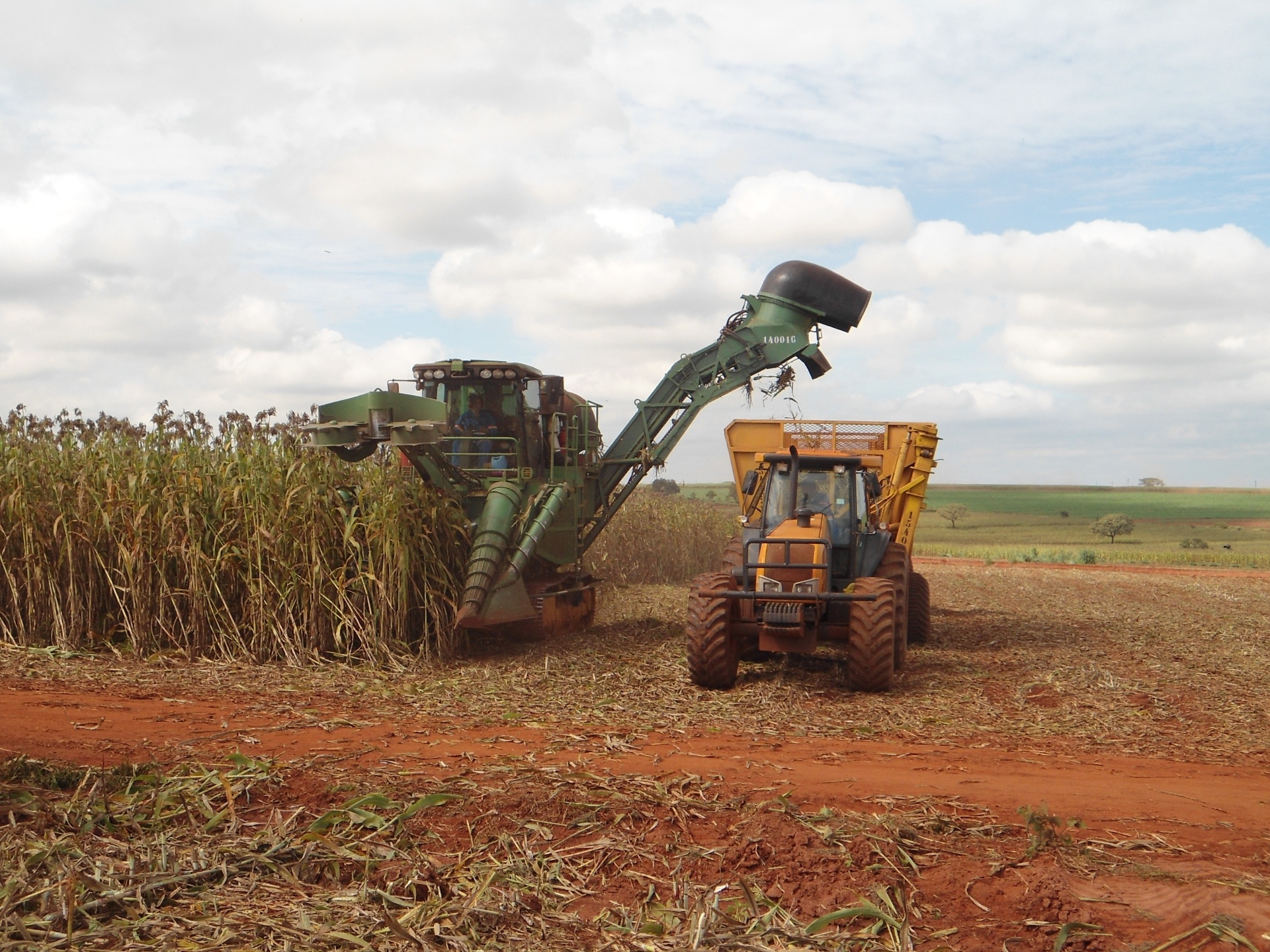 Uma das maiores dificuldades para o plantio do sorgo por empresas acostumadas à cana é a falta do maquinário ideal. Na imagem, a planta é colhida por uma colhedeira própria para a cana, que é mais densa que o sorgo. Empresas de tecnologia para o campo e usinas têm pesquisado o uso do sorgo para a produção de etanol na época em que não há colheita de cana - Divulgação/André May