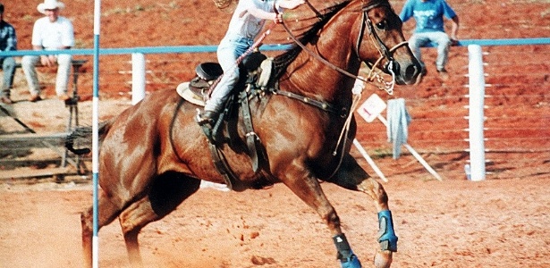 Quarter horse, Raças e tipos de cavalos