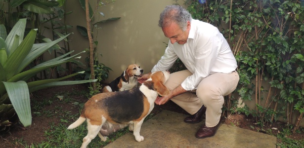 Duas cadelas da raça beagle que pertencem ao Instituto Royal ganharam o nome das filhas do deputado federal Ricardo Tripoli (PSDB-SP) - Divulgação