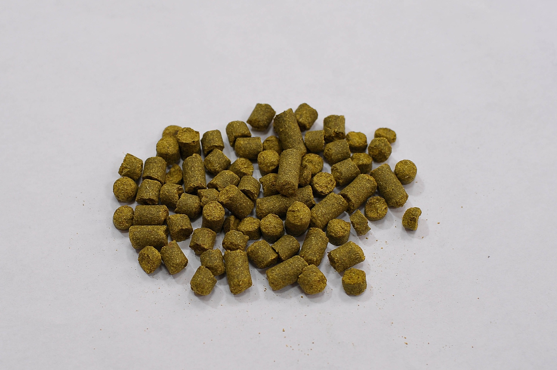 Lúpulo (Fábrica da cerveja Itaipava) - Reinaldo Canato/UOL