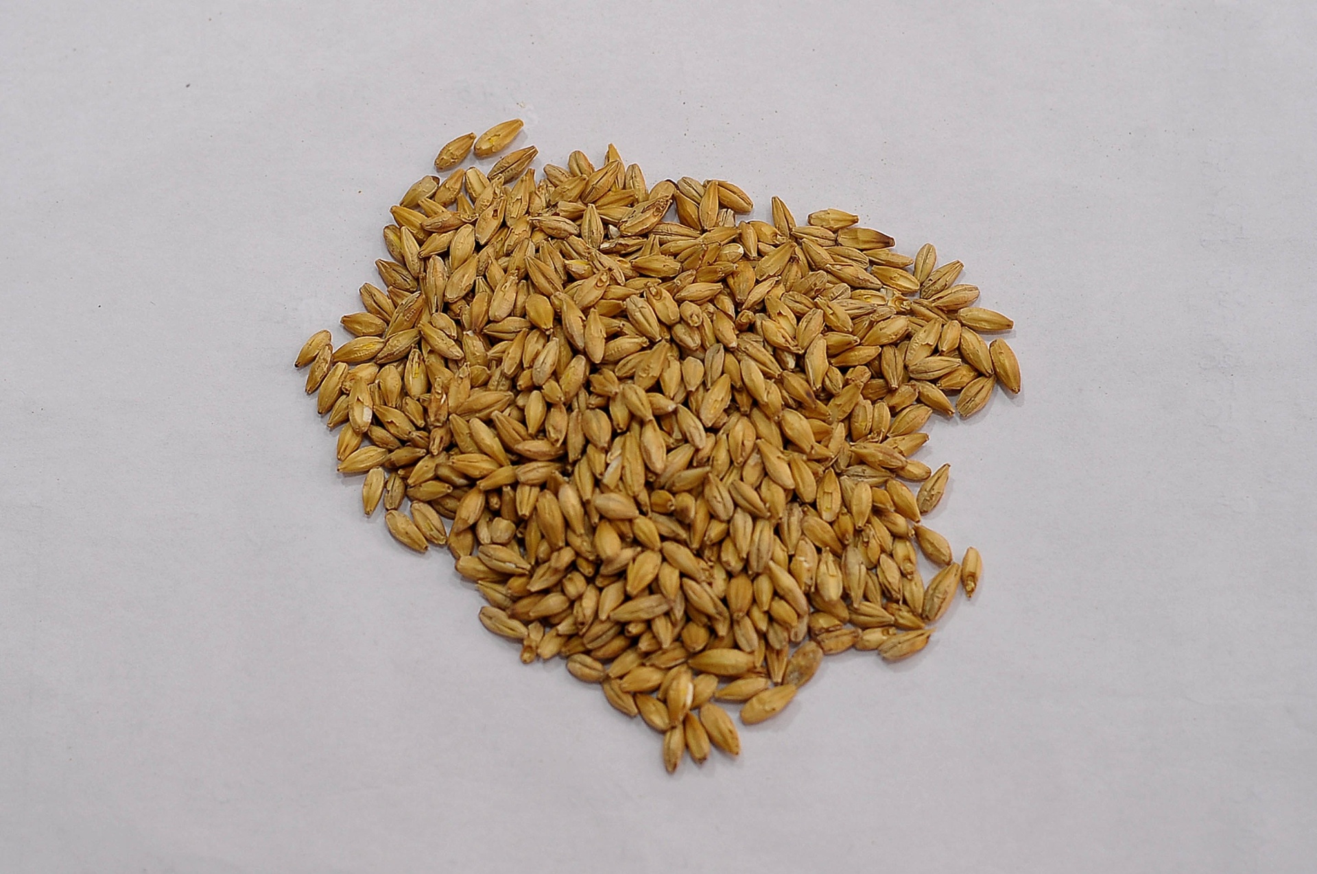 Malte (Fábrica da cerveja Itaipava) - Reinaldo Canato/UOL