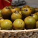 A macaúba é uma fruta que nasce em uma palmeira. É pequena e bem doce, originária do cerrado. Atualmente, é possível encontrá-la em Pernambuco, no Centro-Oeste, em São Paulo e em Minas Gerais - Ademar Filho/Divulgação