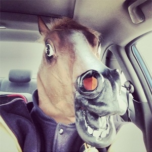 Imagem acima foi publicada no Instagram, mas não há como saber se o "cavalo" estava mesmo dirigindo  - Reprodução/Webstagram