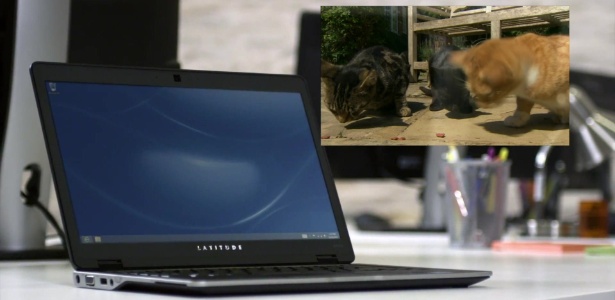 Consumidores dizem que modelo de laptop "cheira a urina de gato" - BBC