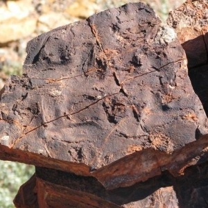 Superfície de rocha mostra rachaduras oscilatórias poligonais de 3,48 bilhões de anos na Formação Dresser, na Austrália. Tal estrutura sedimentar é de origem biológica, o que caracteriza a existência de micro-organismos antigos que formaram um tipo "carpete" sobre a rocha - Nora Noffke