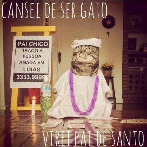Reprodução/Facebook/Cansei de Ser Gato