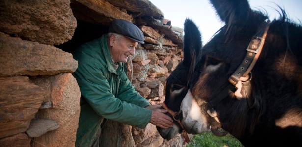 Gonçalo Domingues cuida de seus burros em Paradela, Portugal - João Pedro Marnoto/The New York Times