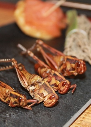 Em maio passado, as Nações Unidas divulgaram um relatório dizendo que 2 bilhões de pessoas no planeta já complementam suas dietas com insetos  - Crickeat