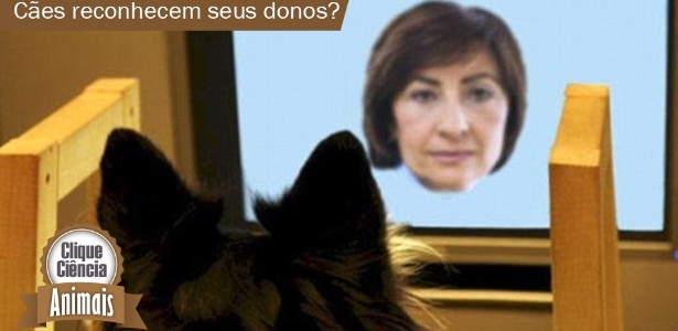 Divulgação/UOL