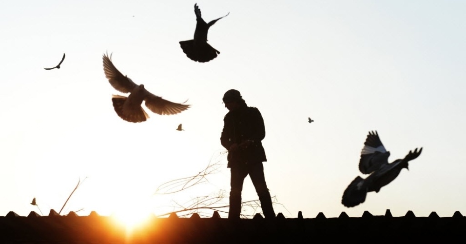 29.dez.2013 - Homem trabalha no telha de mistério em Cabul, capital afegã, em meio a pombas voando