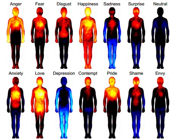O "calor" das emoções em nosso corpo: acima, da esquerda para direita, raiva, medo, nojo,felicidade, tristeza, surpresa e neutralidade; abaixo, ansiedade, amor, depressão, desprezo, orgulho, vergonha e inveja - PNAS