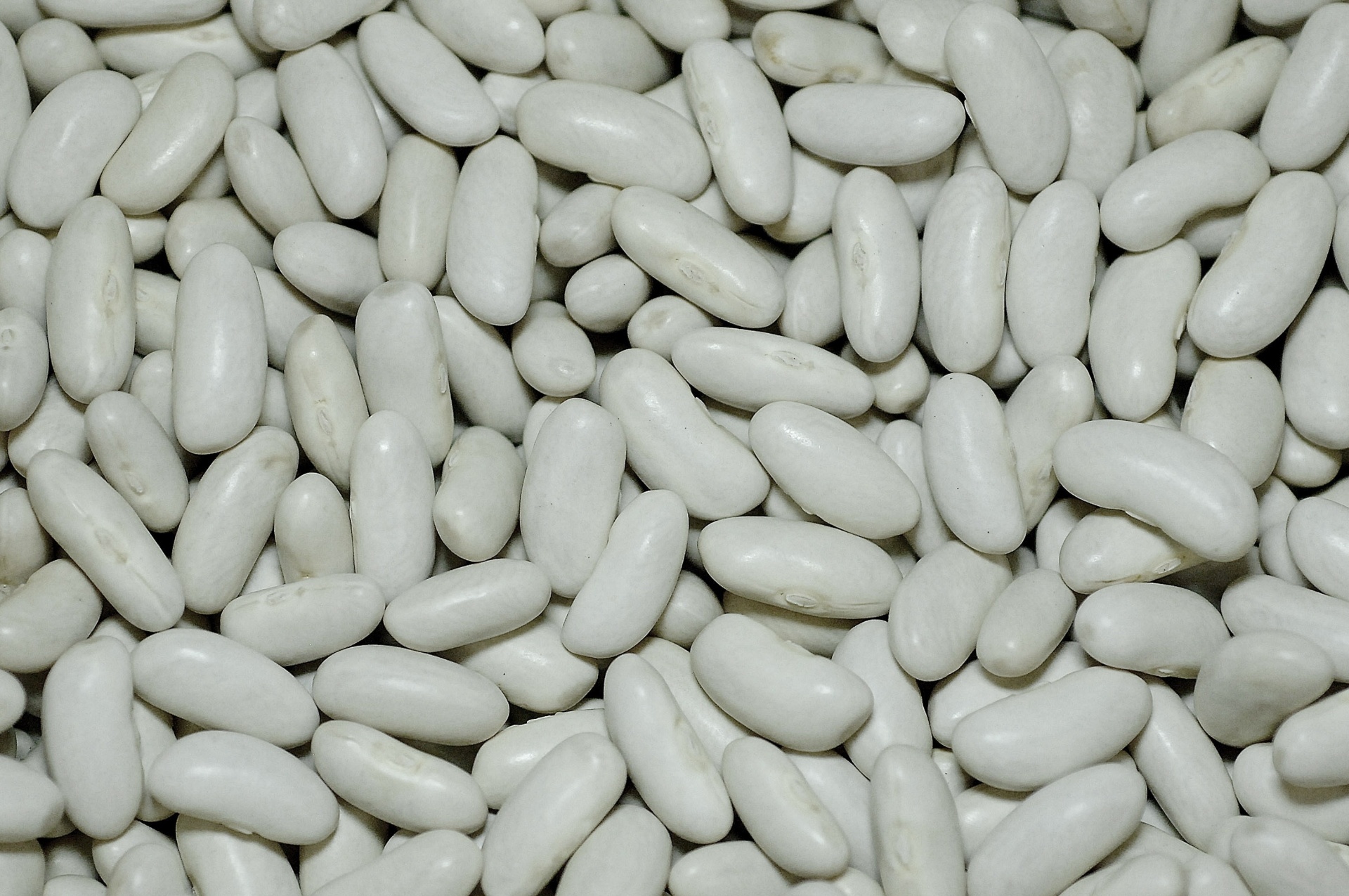 Com caldo ralo e casca fina, o feijão branco é usado em pratos como saladas, sopas e ensopados. O consumo não é muito popularizado e há poucas plantações deste grão. Costuma ser apreciado nos Estados de São Paulo e no Rio Grande do Sul, de acordo com Carbonell - Reinaldo Canato/UOL