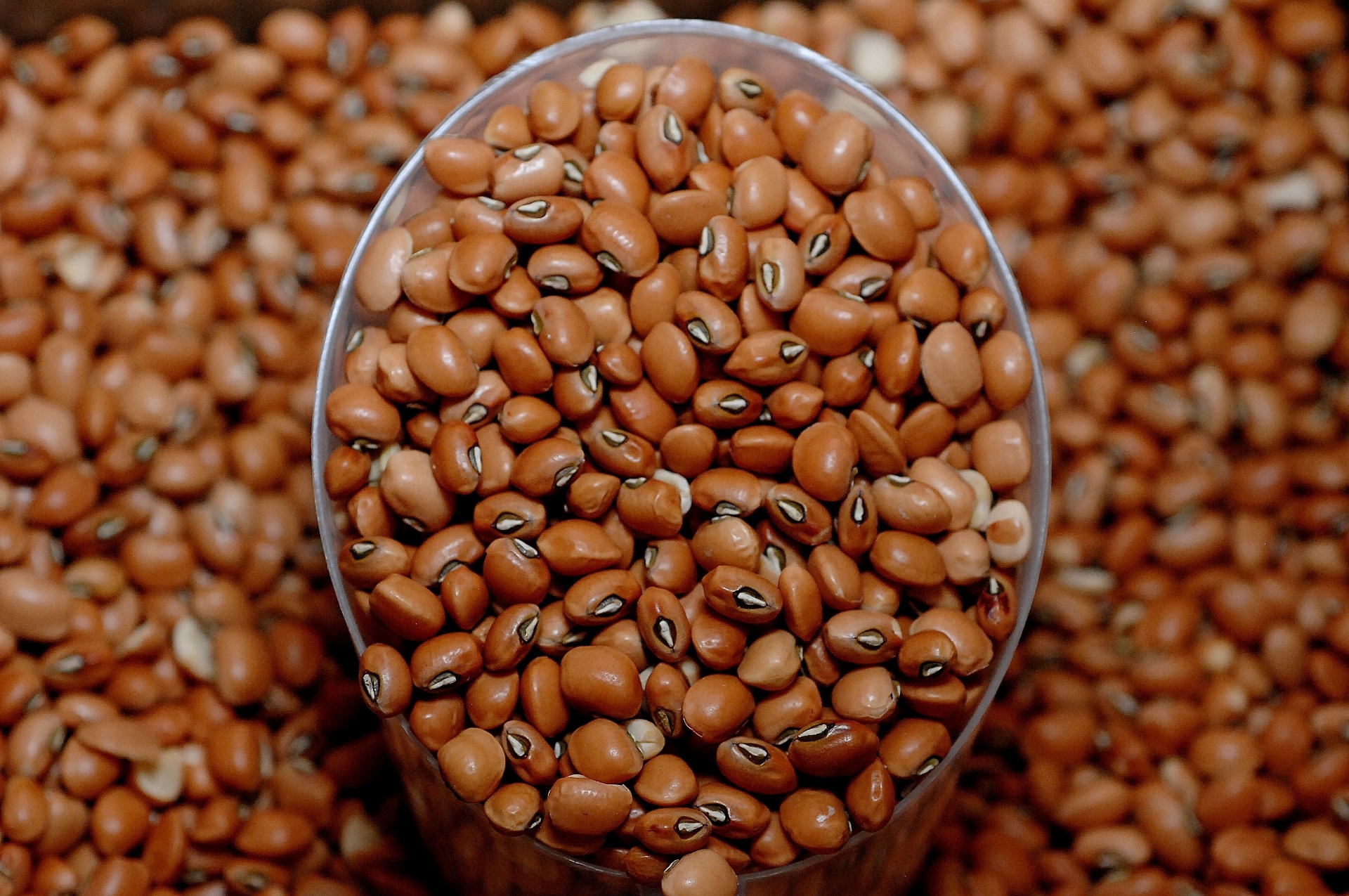 O feijão-de-corda é bastante apreciado no Nordeste e em Minas Gerais e é considerado uma variação do feijão-fradinho. Não é um grão que produz caldo, mas pode ser consumido como aperitivo. Sua produção não é expressiva, de acordo com o IAC - Reinaldo Canato/UOL