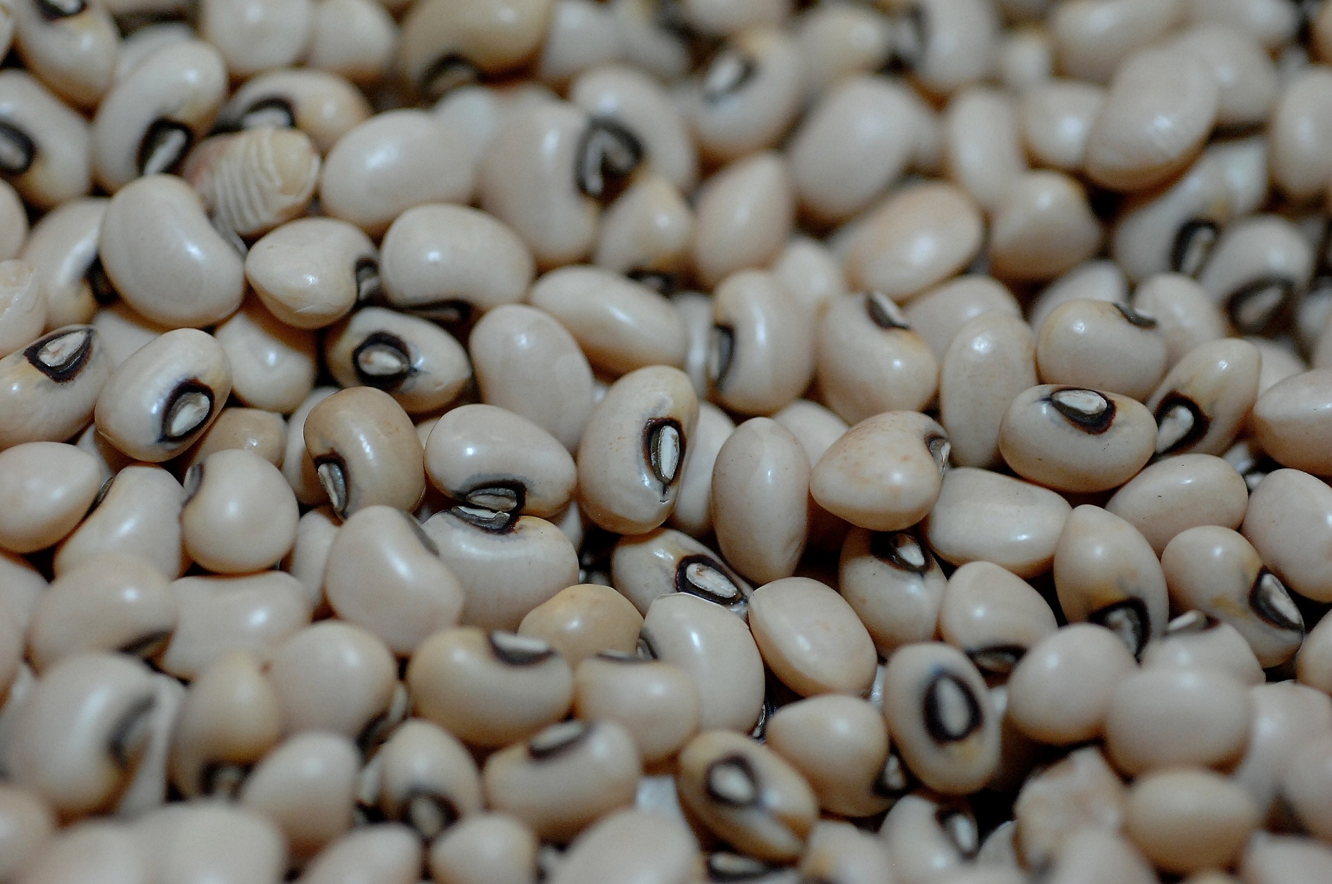 O fradinho, que também pode ser chamado de feijão-de-corda em algumas regiões, é utilizado para preparar saladas ou pratos especiais. Pouco consumido, é um grão que não produz caldo e tem o sabor frutado. É consumido na Bahia, no preparo do acarajé, por exemplo - Reinaldo Canato/UOL