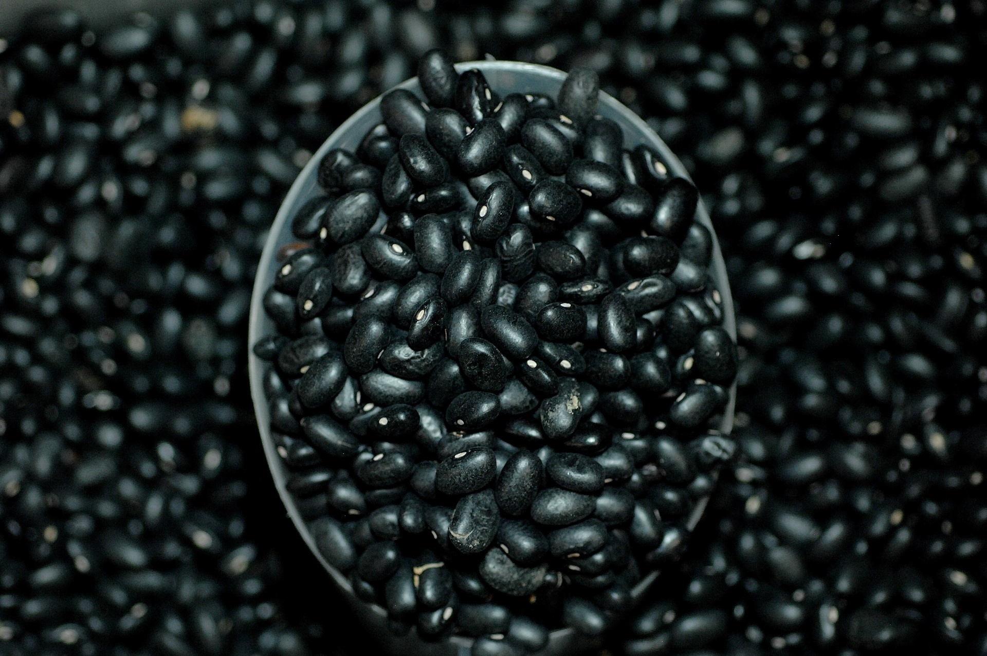 Muito consumido no Rio de Janeiro e na Rio Grande do Sul, o feijão preto é bastante apreciado em feijoadas e na cozinha mexicana. Este grão é resistente em períodos de seca e é bastante produtivo, ou seja, a colheita costuma ser farta - Reinaldo Canato/UOL