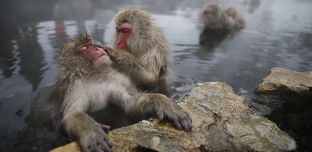 Issei Kato/Reuters