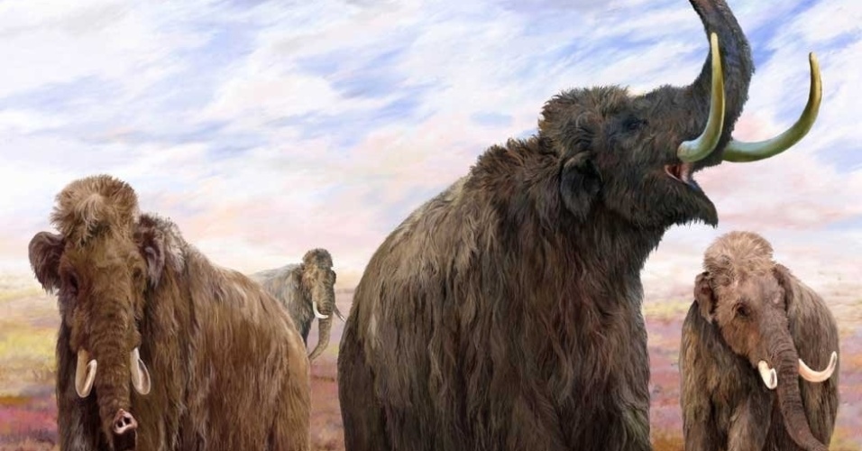 22.jan.2014 - A exposição explora os mistérios da era do gelo e revela como era a vida para os mamíferos mais icônicos da época: os mamutes e os mastodontes