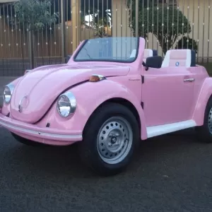 Mini fusca: Loja de Curitiba faz sucesso com fama dos minicarros. Quanto  custa?