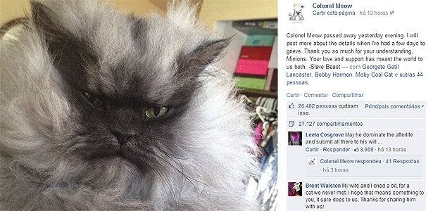 Post no Facebook anuncia morte de Colonel Meow, 2; gato tinha o pelo mais comprido do mundo   - Reprodução/Facebook