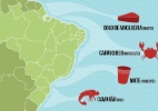 Conheça os petiscos consumidos nas praias de todo o Brasil - Arte/UOL