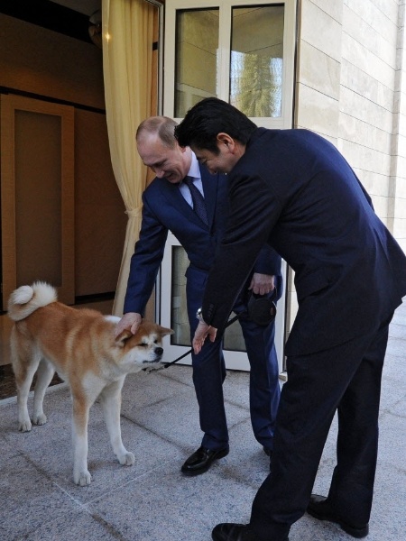 8.fev.2014 - Presidente russo, Vladimir Putin, mostra o cachorro "Yume" ao primeiro-ministro japonês Shinzo Abe em Sochi, na Rússia - Mikhail Klimentiev/AFP