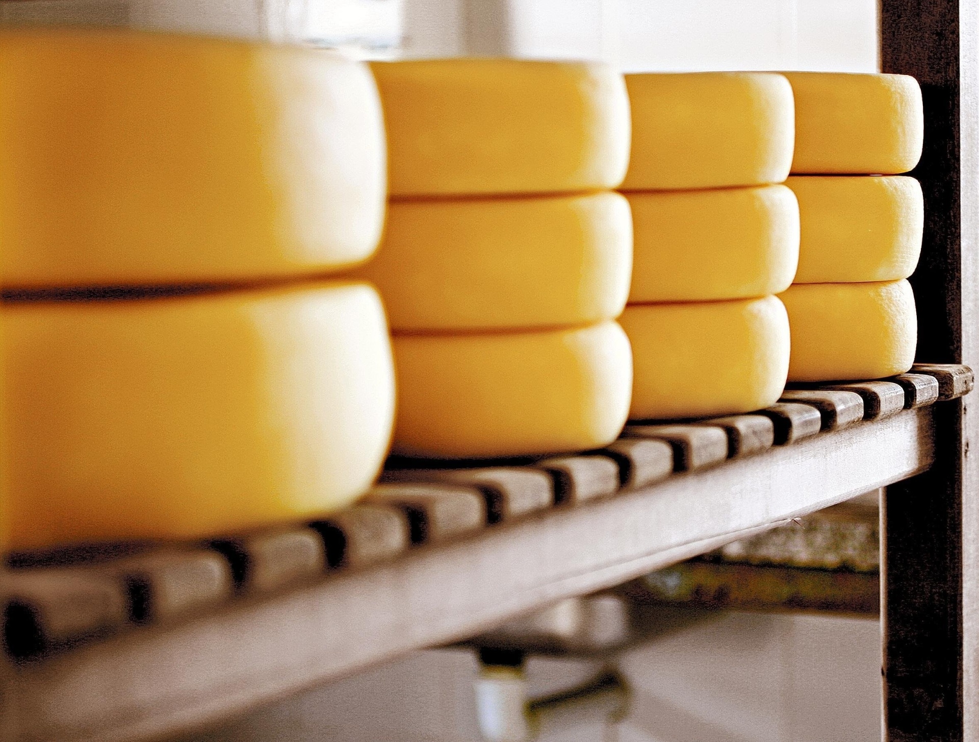 Queijo da Canastra é regulamentado, e preço triplica; conheça produção 13/02/2014 UOL Economia Queijo da Canastra é regulamentado, e preço triplica; conheça produção 13/02/2014 UOL Economia