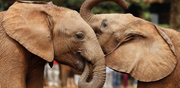 Thomas Mukoya/Reuters