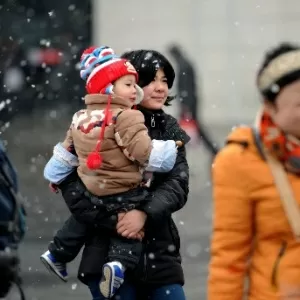 Árvore de natal com neve Himalaya verde 240 cm