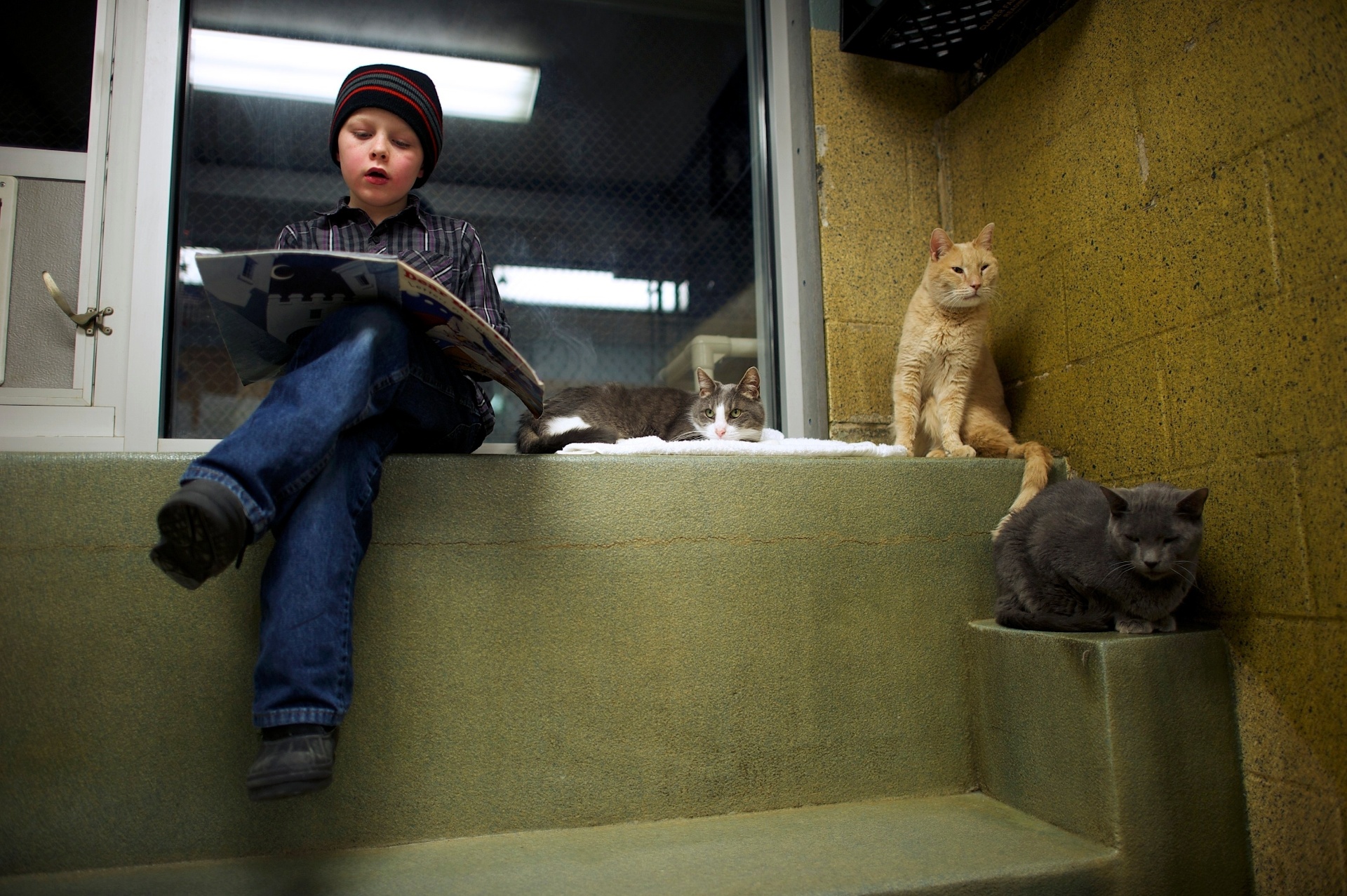 Como parte do programa "The Book Buddies" (amigos dos livros, em tradução livre), crianças da Pensilvânia (EUA), em idade escolar correspondente ao ensino fundamental brasileiro, leem para gatos que estão esperando por adoção na ONG Animal Rescue League. A ação é usada para melhorar as habilidades de leitura dos alunos e fazer com que eles ganhem confiança. Os animais podem propiciar suporte e conforto para os jovens leitores, além de não julgarem possíveis erros. Segundo pesquisadores da Universidade Tufts, os estudantes mostraram foco e melhoria na escola - Mark Makela/Reuters