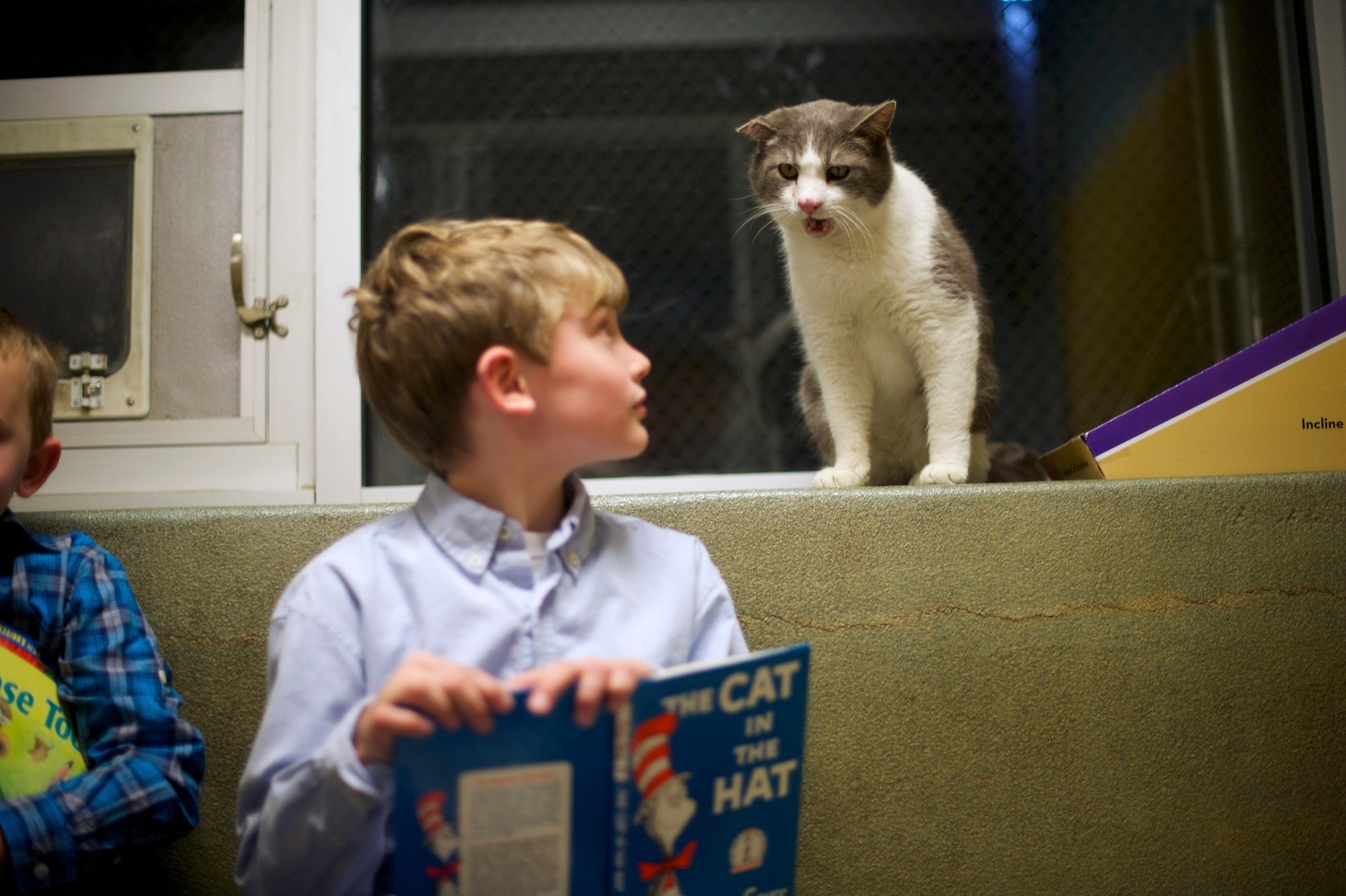 Como parte do programa "The Book Buddies" (amigos dos livros, em tradução livre), crianças da Pensilvânia (EUA) leem para gatos que estão esperando por adoção na ONG Animal Rescue League. A ação é usada para melhorar as habilidades de leitura dos alunos e fazer com que eles ganhem confiança. Os animais propiciam suporte e conforto para os jovens leitores, além de não julgarem possíveis erros. Segundo pesquisadores da Universidade Tufts, os estudantes mostraram foco e melhoria na escola - Mark Makela/Reuters