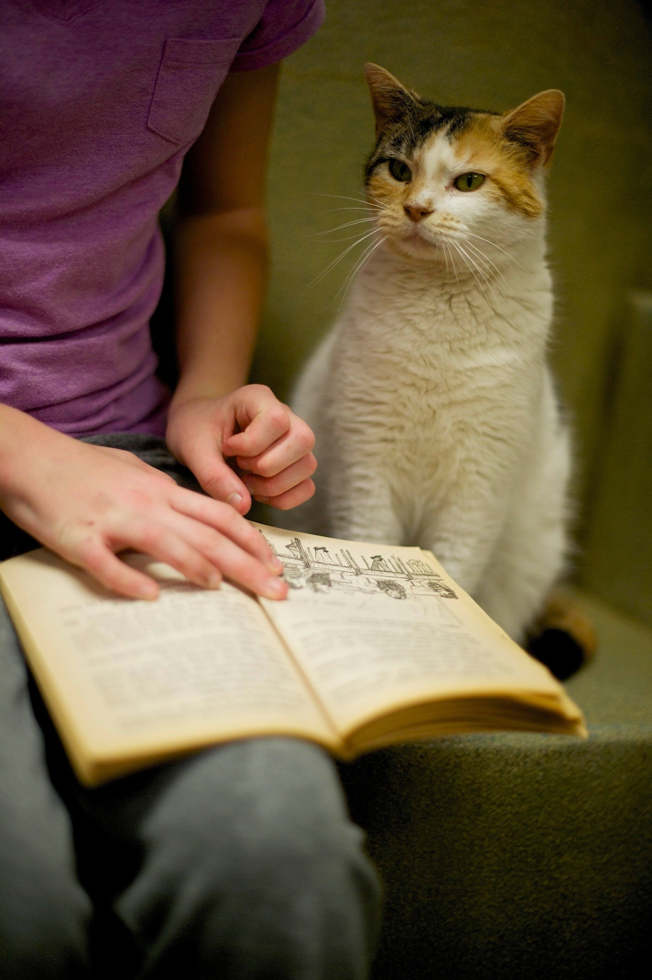 Como parte do programa "The Book Buddies" (amigos dos livros, em tradução livre), crianças da Pensilvânia (EUA) leem para gatos que estão esperando por adoção na ONG Animal Rescue League. A ação é usada para melhorar as habilidades de leitura dos alunos e fazer com que eles ganhem confiança. Os animais propiciam suporte e conforto para os jovens leitores, além de não julgarem possíveis erros. Segundo pesquisadores da Universidade Tufts, os estudantes mostraram foco e melhoria na escola - Mark Makela/Reuters