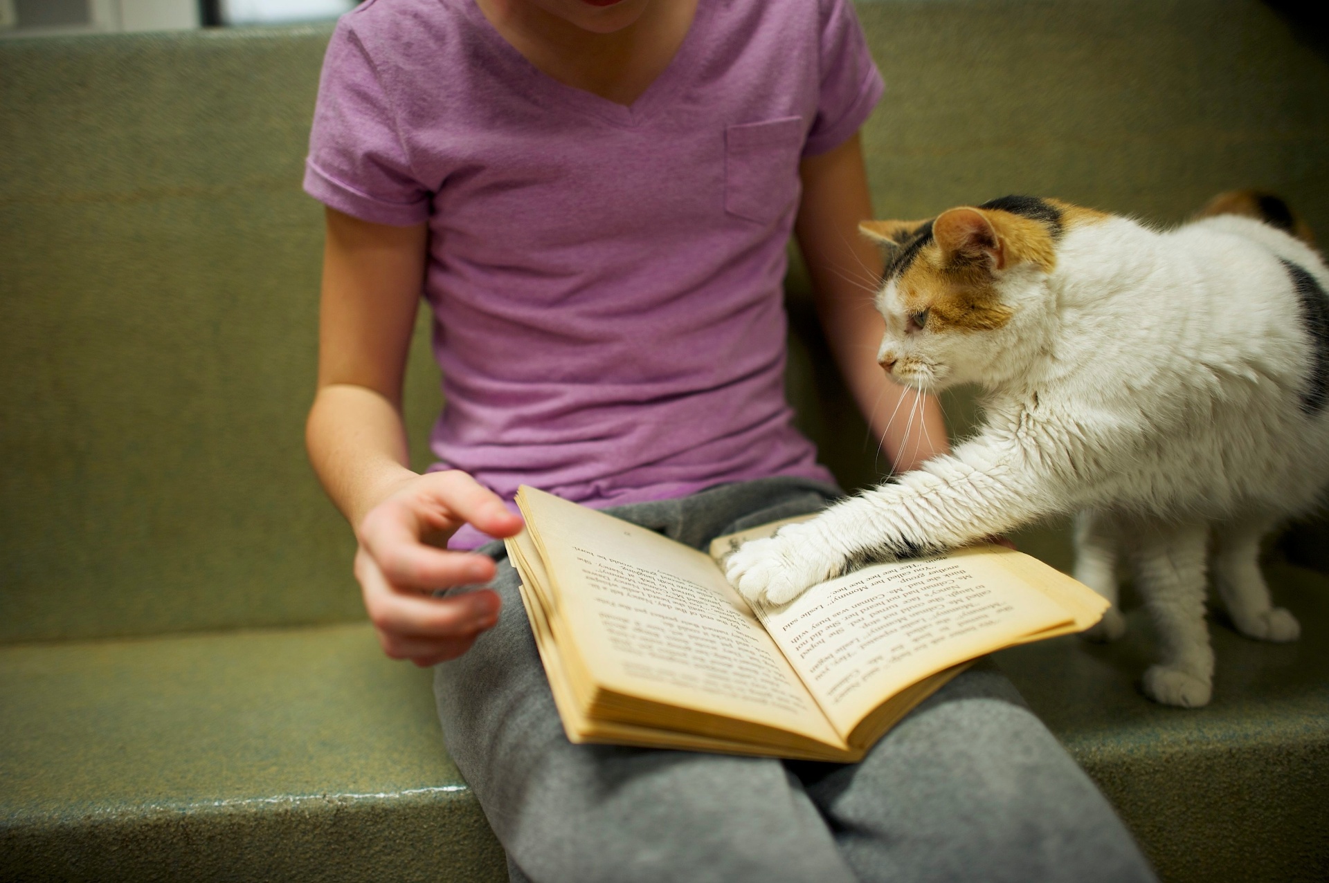 Como parte do programa "The Book Buddies" (amigos dos livros, em tradução livre), crianças da Pensilvânia (EUA) leem para gatos que estão esperando por adoção na ONG Animal Rescue League. A ação é usada para melhorar as habilidades de leitura dos alunos e fazer com que eles ganhem confiança. Os animais propiciam suporte e conforto para os jovens leitores, além de não julgarem possíveis erros. Segundo pesquisadores da Universidade Tufts, os estudantes mostraram foco e melhoria na escola - Mark Makela/Reuters