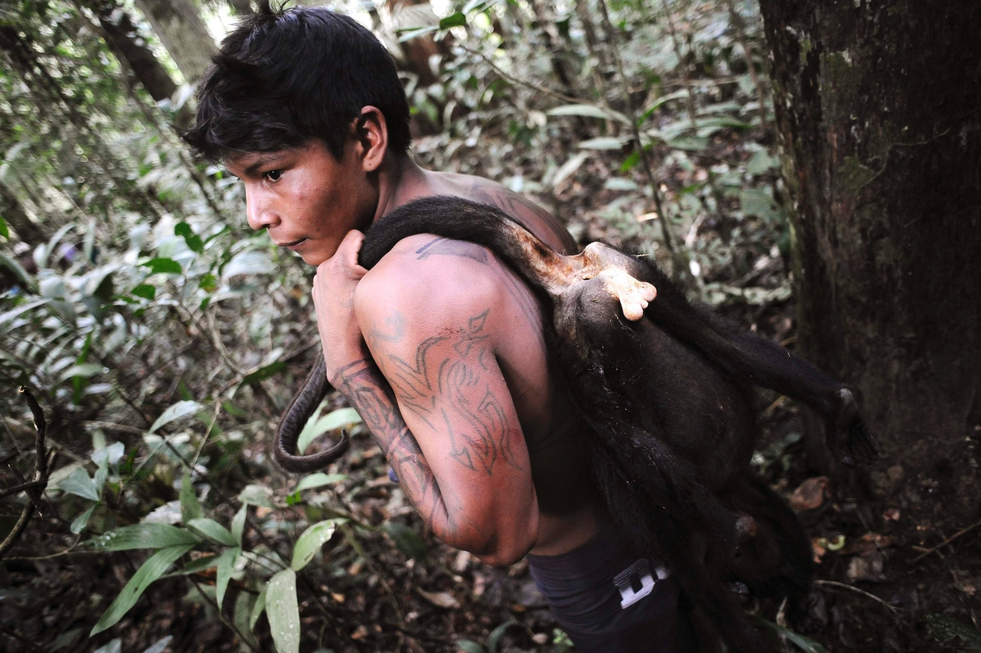 17.fev.2014 - Um índio guerreiro Munduruku carrega um macaco caçado para ser comida durante uma busca na selva para encontrar minas e mineiros ilegais no seu território perto do rio Tapajós - Lunae Parracho/Reuters