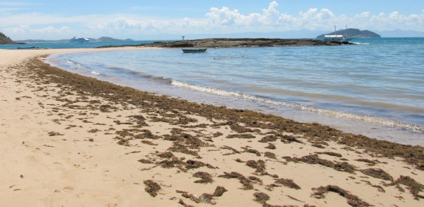 Praia da Tartaruga foi interditada após 60 banhistas terem sido hospitalizados e substância estranha ser encontrada - Zilna Cabral/Agência O Dia/ Estadão Conteúdo