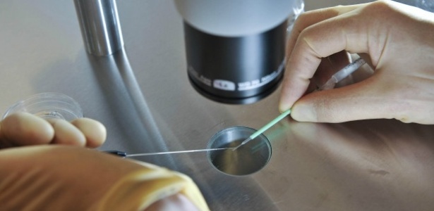Técnica usa espermatozoide e óvulos dos pais, além de um óvulo adicional de uma doadora - PA