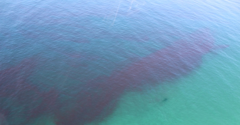 14.mar.2014 - A orla do Rio de Janeiro amanheceu com muitas algas vermelhas nesta sexta-feira (14), desde o Leblon, na zona sul, até a Barra da Tijuca, na zona oeste