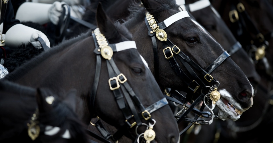 20.mar.2014 - Cavalaria britânica é vista em formação durante inspeção anual, no Hyde Park, em Londres, no Reino Unido
