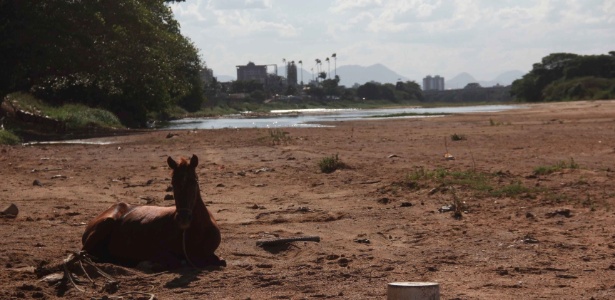 Cavalo descansa em local que costuma ser banhado pelo rio Paraíba do Sul, que enfrenta seca no Rio de Janeiro - Hellen Souza / Folha da Manhã / Agência O Globo