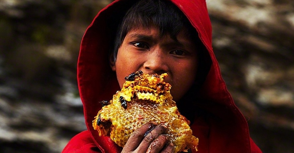 A incrível aventura dos caçadores de mel do Himalaia BOL Fotos BOL