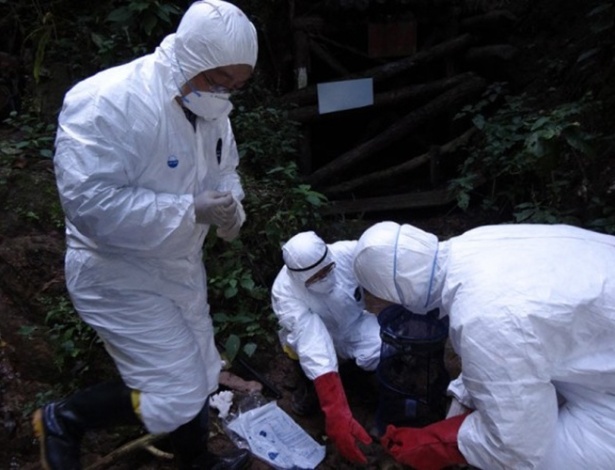 Pesquisadores chineses buscam vírus em caverna em Mojiang, na China - Qi Jin/Science