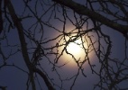 Qual a fase da Lua hoje (18)? Veja calendário lunar de agosto 2025 completo (Foto: Cj Gunther/ EFE / EPA)