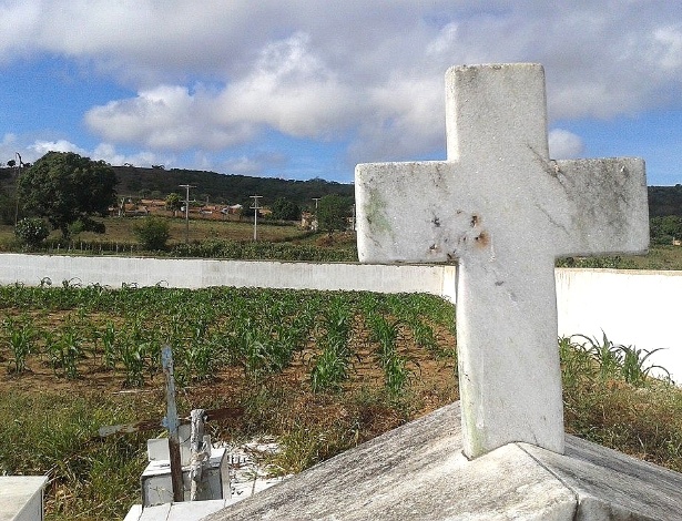 Plantação dentro de cemitério em Pombal (BA); a prefeitura já retirou as plantas do local - Paulo Andrade/Rádio Pombal FM