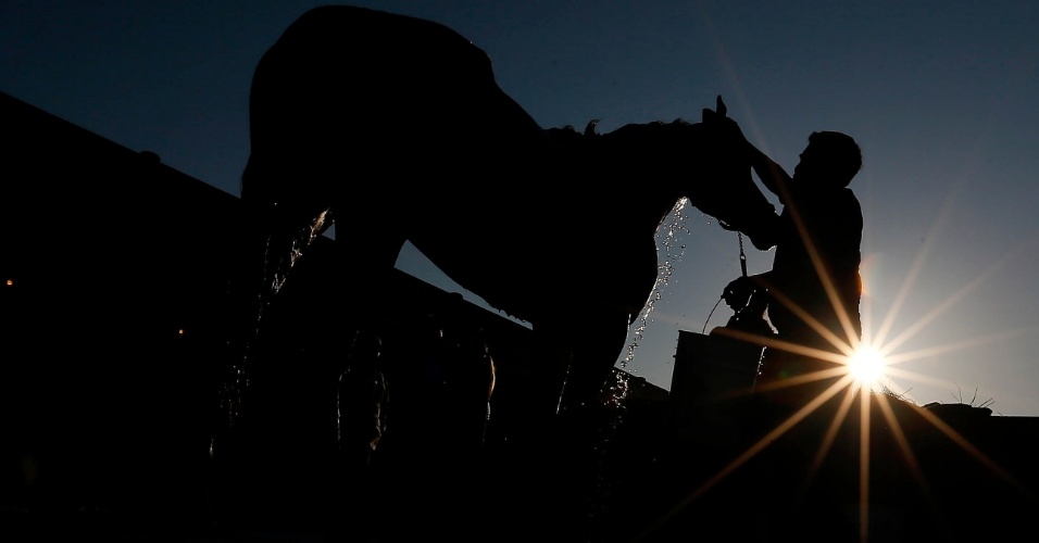 2.mai.2014 - Tratador dá banho em cavalo na manhã desta sexta-feira (2), em Churchill Downs, Louisville, no Kentucky (EUA)