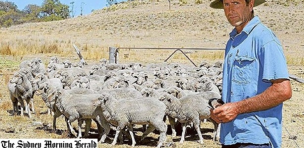 19.mai.2014 - Stephen Knight disse que ao menos 800 de suas ovelhas morreram e comparou o vício do rebanho ao da heroína - Reprodução/Sydney Morning Herald