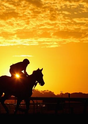 Belmont Park - Al Bello/Getty Images/AFP - Al Bello/Getty Images/AFP